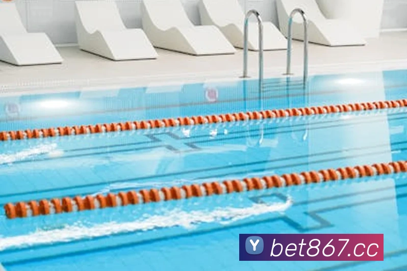 bet365com发展历程